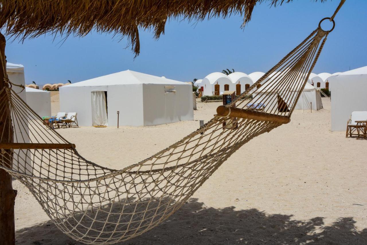 Marsa Shagra Village Abu Dabab Exteriör bild